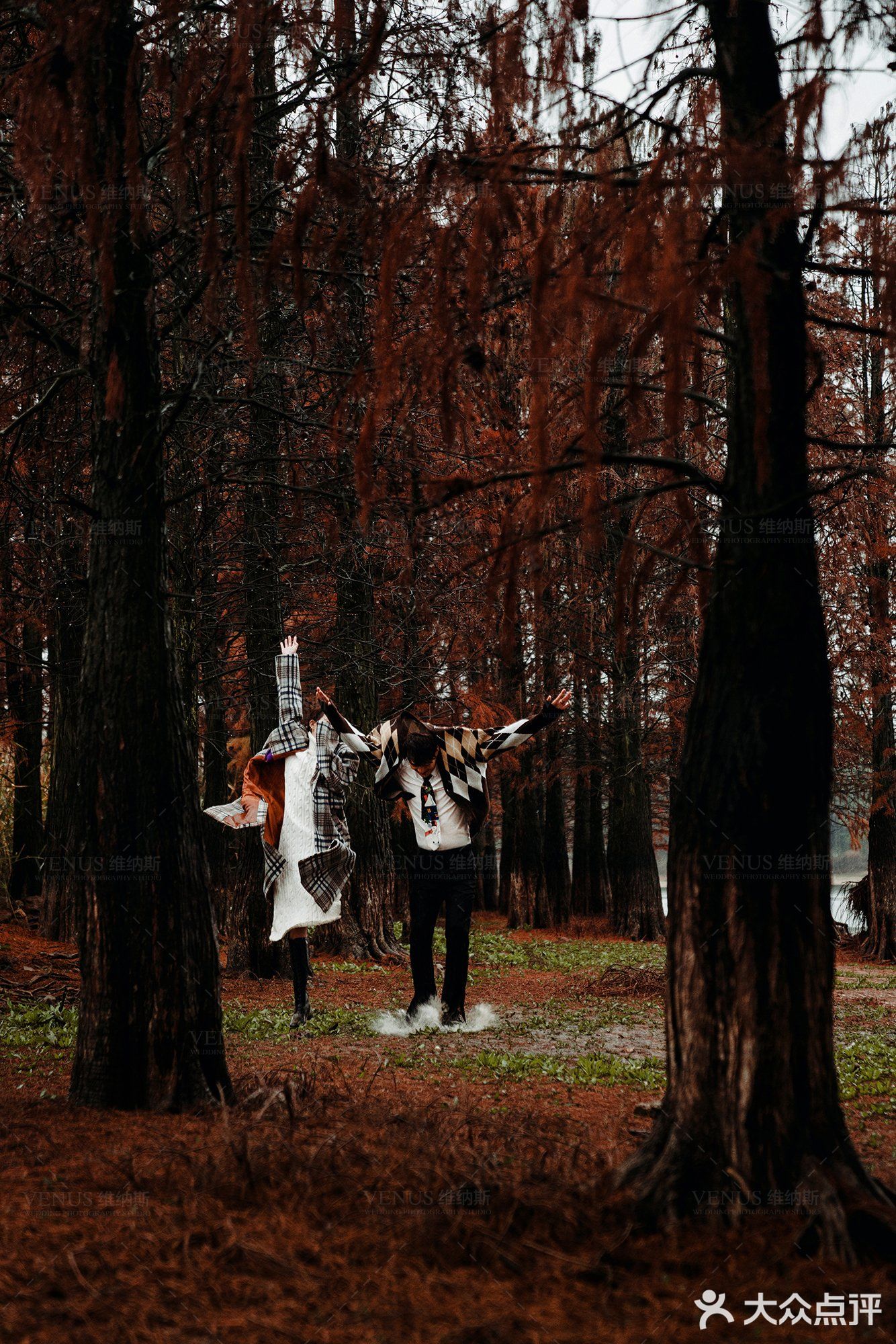 秋意红杉林婚纱照🍂如痴如画，美得动魄惊心！