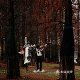 秋意红杉林婚纱照🍂如痴如画，美得动魄惊心！