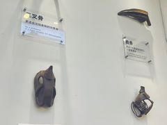 -萍姨抻面馆·鸡架冒菜(清湖店)