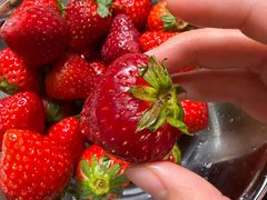 -乐乐鲜果水果超市(河北店)