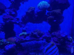 -上海海昌海洋公园