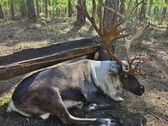 -北极村旅游风景区