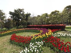 -上海鲜花港