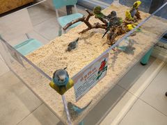 -怪兽屋·羊驼·猫咖·狗咖(俊华广场店)