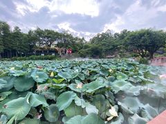 -广州莲花山旅游区