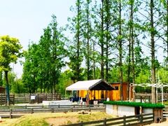 -前小桔亲子创意农场·草莓采摘·露营烧烤