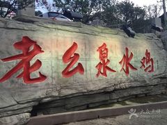-老幺泉水鸡