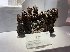 -湖南省地质博物馆