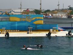 -秦皇岛乐岛海洋王国