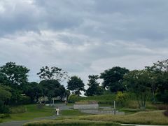 -红花山公园