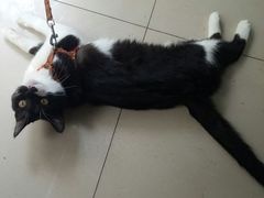 -艾加柒克蛋糕茶歇甜品台(春熙路店)