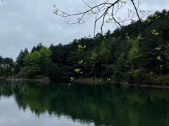 -四明山国家森林公园