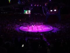 -俄罗斯国家大马戏团