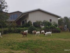 -江苏三台山国家森林公园