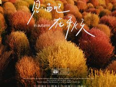 -花开海上生态园
