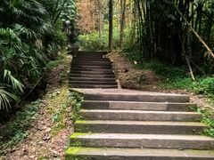 -凤栖山
