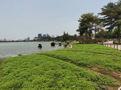 -顺峰山公园