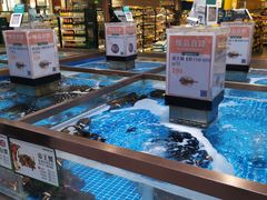 水产区-七鲜超市(通州ONE店)