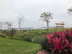 -光明小镇欢乐田园