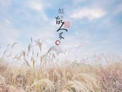 -良渚古城遗址公园