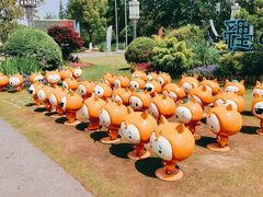 -上海长兴岛郊野公园