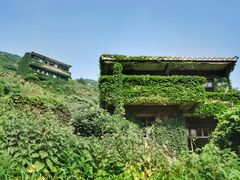 -枸杞岛