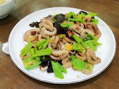 辣炒八爪鱼-抹直口特色菜馆(一店)