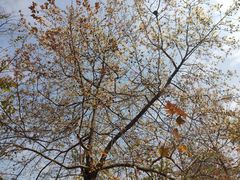 -中国移动南方基地