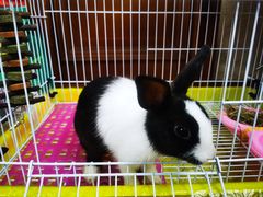 -西堤牛排(合肥之心城店)