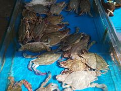 -87号烧烤海鲜·大排档(金沙滩店)