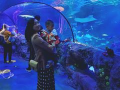 -沈阳海洋探索中心