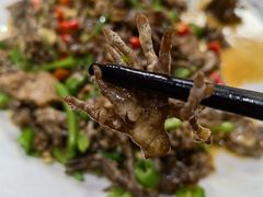 猫爪菇炒牛肉-下梅人家土菜馆(历史文化餐厅度假区店)