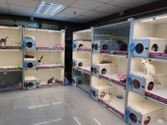 -lincat·猫舍(广州店)