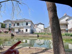 -同里国家湿地公园