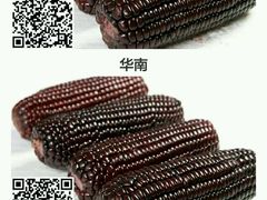 -鱼无双·酸菜鱼(来凤街店)