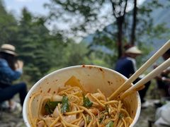 -苍山感通索道