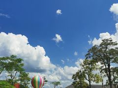 -广州白江湖森林公园