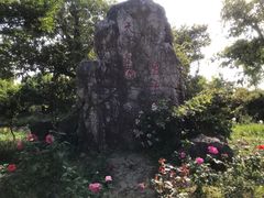 -鹅湖玫瑰文化园