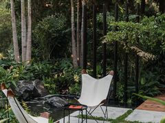 -深圳市中科院仙湖植物园