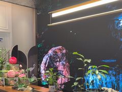 -双湖宴·湖北菜(文化路店)