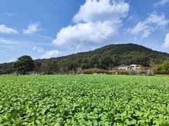 -广州市石门国家森林公园