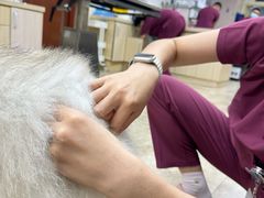 -美联众合动物医院·24h转诊中心