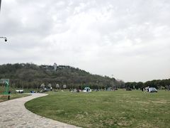 -羊山湖公园
