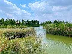 -春花秋色城市公园