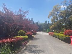 -东平国家森林公园