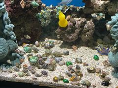 -上海海昌海洋公园