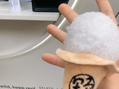 -野人先生现做冰淇淋(北京顺义祥云小镇店)
