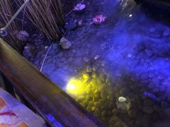 -淀里船宴(裕华东路店)