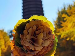 -玲珑塔公园