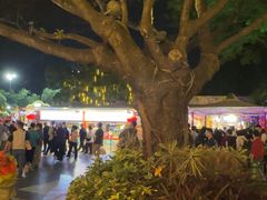 -广州长隆国际大马戏